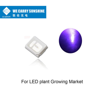 อายุการใช้งานยาวนาน UVA Led 395-405nm 150-200mW UV LED Chip สำหรับ LED Plant Growing
