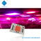 AC 110V 220V 50W 100W Driverless COB LED Chip 380-780nm สำหรับปลูก / ไฟถนน
