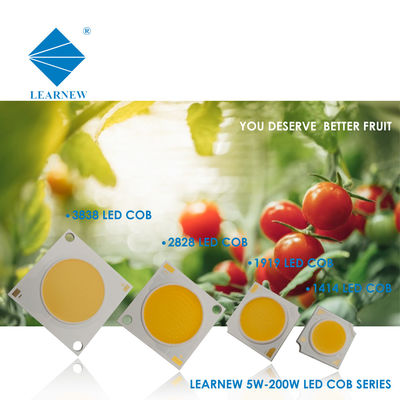 หลอดไฟ LED COB สำหรับโคมไฟติดผนังและสปอตไลท์