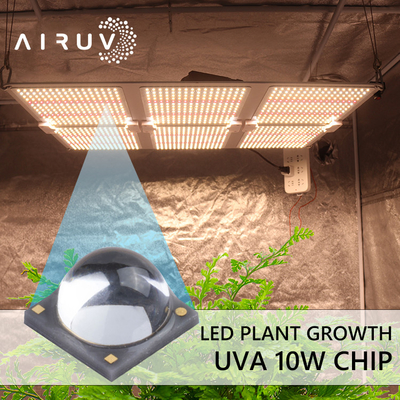 10W 365nm 385nm 395nm 6-7V Uva 3W นำชิปสำหรับการบ่ม UV