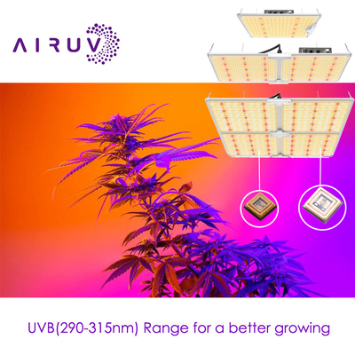 10w 20w 100w UVA UVB UVCLED COB ประสิทธิภาพสูง 365nm 385nm 395nm ราคาประหยัด Led