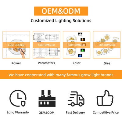 พลังงานสูง Bi Color 300W 6060 Flip Chip Custom Cob Led Chip สําหรับการค้า Led Light แสงเวที