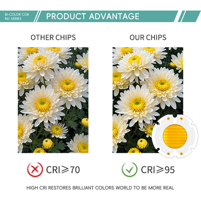 พลังงานสูง 200W 6060 LED cob chip bi color chip สําหรับแสงถ่ายภาพ