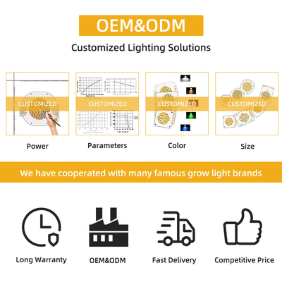 ชิป LED COB 200W VF 45V LED Beads DIY สเปคตรเต็ม สามารถปรับแต่งได้