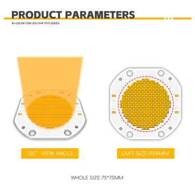 ปรับแต่ง CRI สูง พลังงาน 200W 300W 500W 600W 700W 1200W COB ชิป LED Board LED Light Module