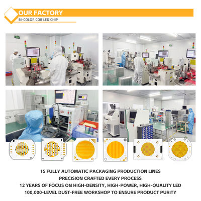 ชิป COB วัสดุอะลูมิเนียมแบบกำหนดเอง 2424 ในสีขาว น้ำเงิน แดง และเขียว ความสว่างสูง โรงงานจีน