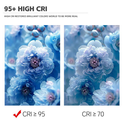 ชิป LED COB สองสี 6060 2700K 6500K 300W SMD กำลังไฟสูง