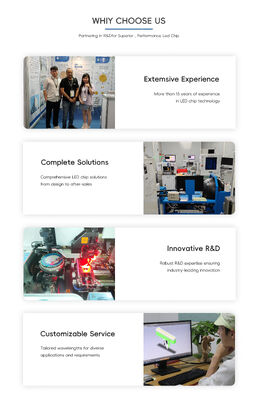 พัฒนาการ 365nm 385nm 395nm ไฮ เพอเวอร์ UVA LED SMD6868 10W ไฮ ลูเมน 6.0-7.0V UV Light สําหรับการเจือญรักษาพืชในเรือนกระจก