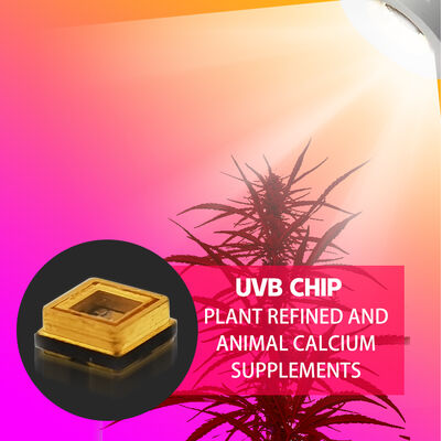 ความงาม UVB 3W ชิป 315nm ราคาโรงงาน 3535 LED ไดโอเดส SMD 311nm 500mA โคมไฟแดง LED ไดโอเดส SMD 306nm 295nm 110mW