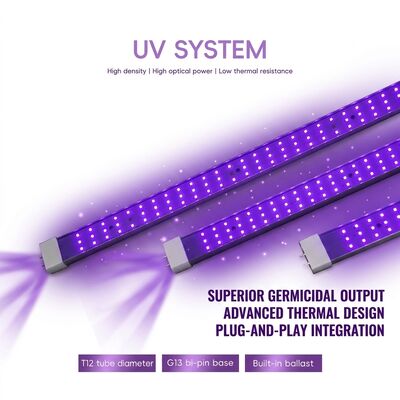 UVC Solutions 365nm 370W 100W 120W UV Germicidal Lamp ผู้จัดจําหน่าย แสง UVC ไฟยาว