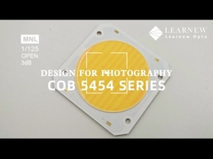 5454 ชิปอุณหภูมิสีคู่