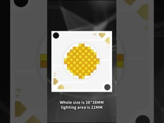 หลอดไฟ LED COB สองสี 3838